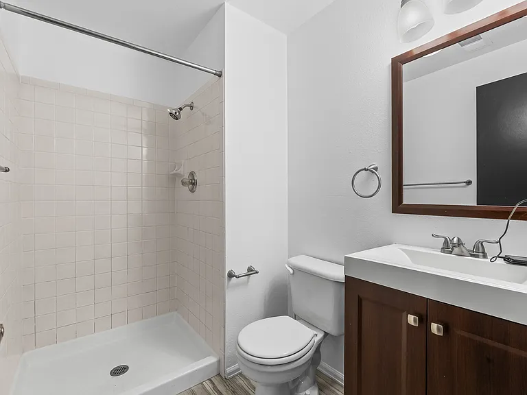 Lower level Bathroom