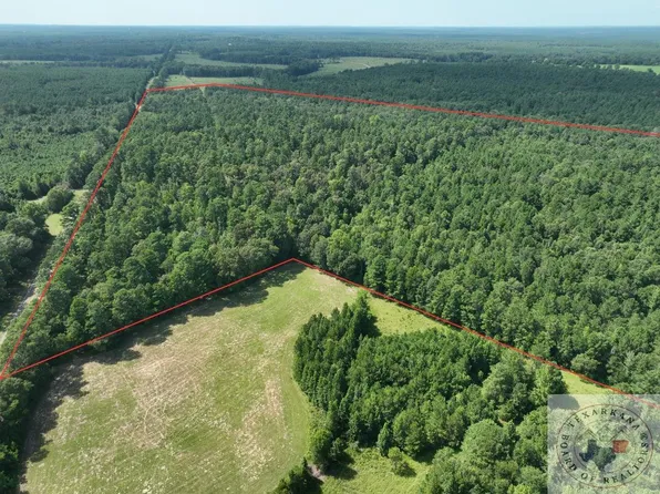 Fm 125, Kildare, TX 75562