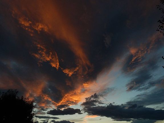 Sunset backyard, facing west