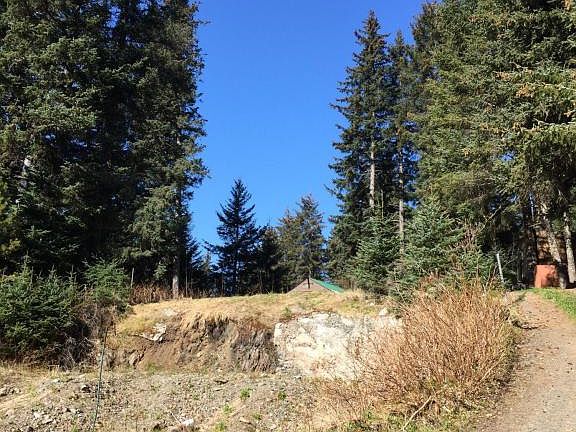 4th image of 337 Shoreline Dr