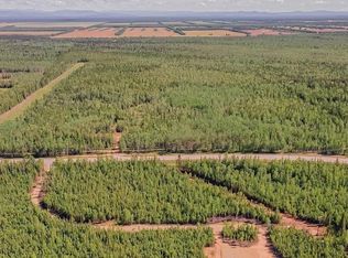 C 1 Allis Chalmers Ct, Delta Junction, AK 99737