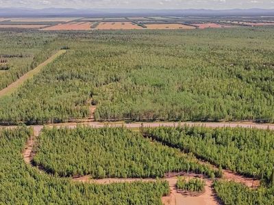 C 1 Allis Chalmers Ct, Delta Junction, AK, 99737