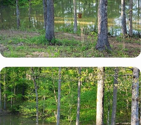 3rd image of 211 County Road 113