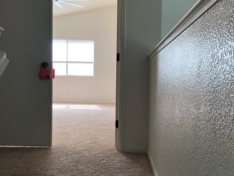 8742 Weeping Birch Ln — Photo 33