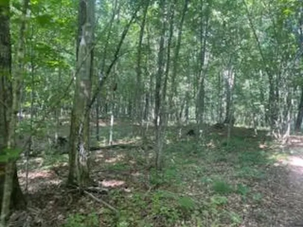 Whitewater Rd, Emily, MN 56447