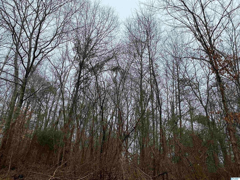 2nd image of 1 Bud Weaver Rd