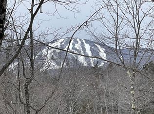 2 Twin Farm Rd, Bondville, VT 05340