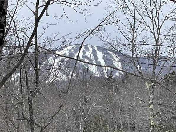 Lot 2 Twin Farm Road, Winhall, VT 05340