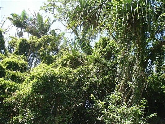 2nd image of Railrd Rd
