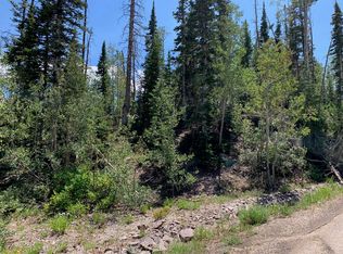 341 W Ridge View St, Brian Head, UT 84719