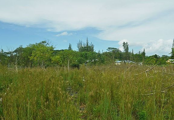4th image of 15-1337 22nd Ave Lot 356