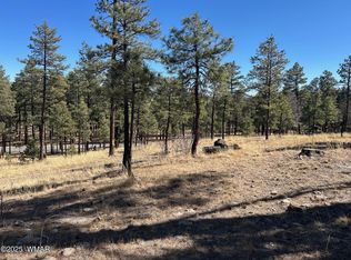 10 County Road 2193, Alpine, AZ 85920