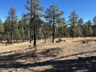 10 County Road 2193, Alpine, AZ, 85920