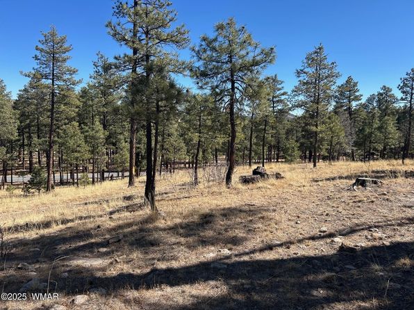 10 County Road 2193, Alpine, AZ 85920