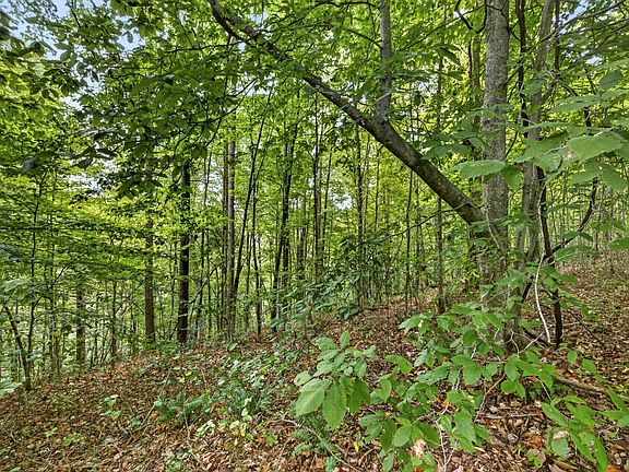 3rd image of 0 Timber Ridge Ln Lot 30&31