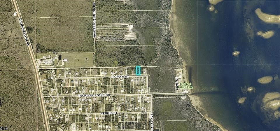 2nd image of 3486 Papaya St