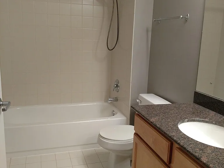 1305 S Michigan Ave #1506 — Photo 13