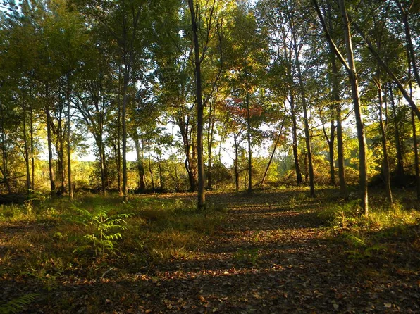 0 Powell Levee Rd, Palmersville, TN 38241