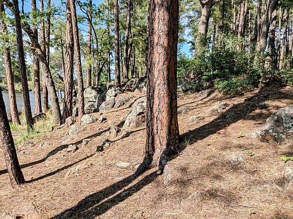 5th image of 2422 Rainbow Lake Dr