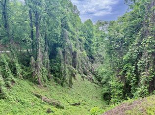 0 Watia Rd, Bryson City, NC 28713