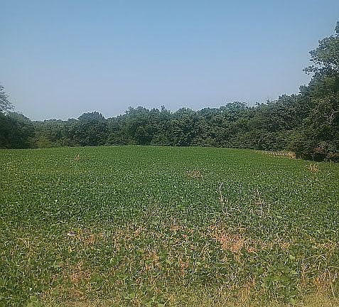 2nd image of TRACT 2 And 3 County Rd #442