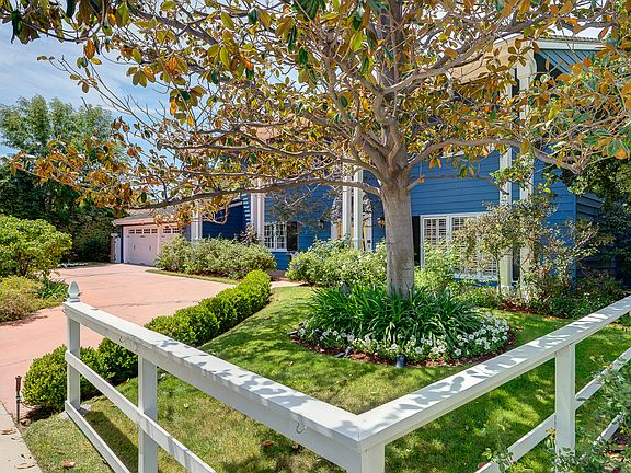 Gorgeous Magnolia tree