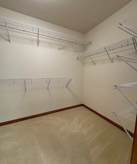 3902 Marryat Dr — Photo 10