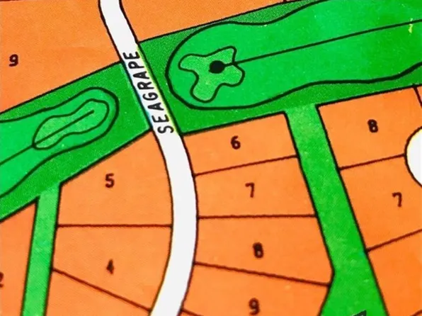 21 Seagrape St, Homosassa, FL 34446