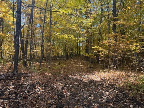5th image of Lot 79 Loons Landing Road