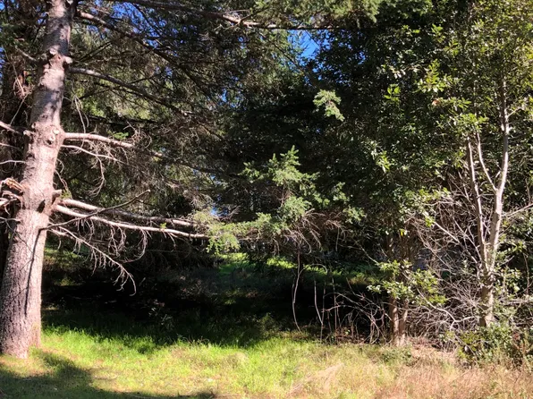 829 Spring Rd, Whitethorn, CA 95589