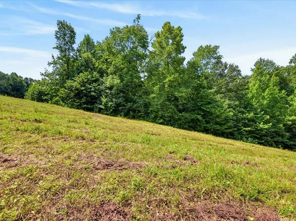 Trt 10 Johnnie Rd, Indian Mound, TN 37079