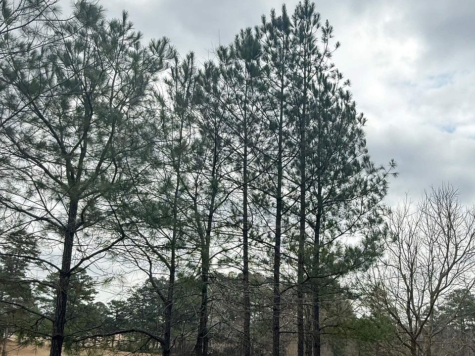 1st image of 9040 Marsh Mountain Rd