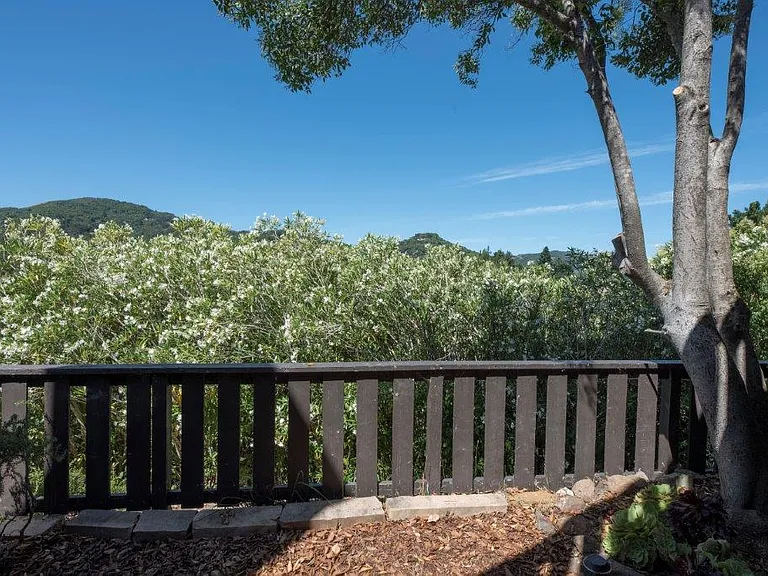 Parkside Apartments balcony and trees