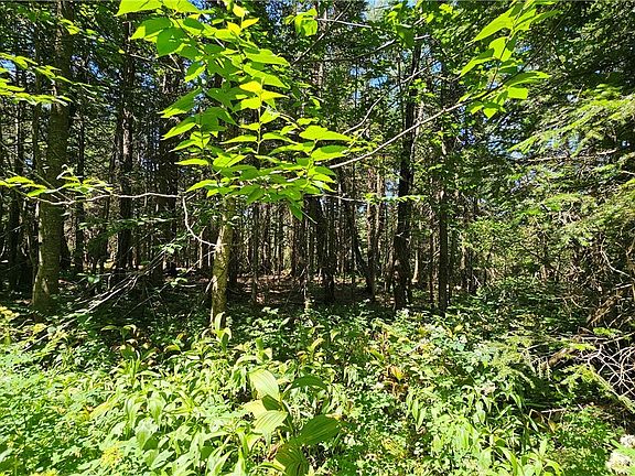 2nd image of 6380 Doyle Rd Lot 9