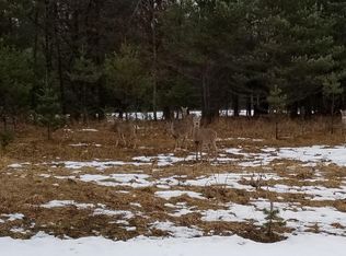 River Dr, Gaylord, MI 49735