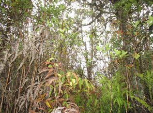 Uhini Ana Rd #1, Mountain View, HI 96771