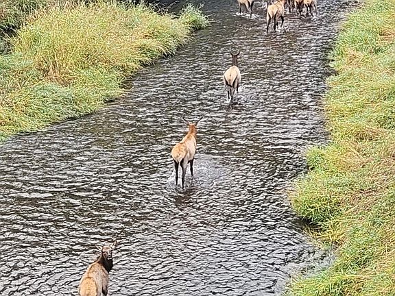 2nd image of 188 Pisqually Ln