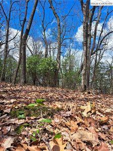 TBD Mountain View Drive, Lowgap, NC, 27024
