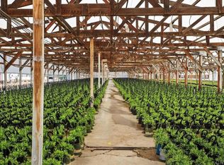 Cassou Rd, San Marcos, CA 92069