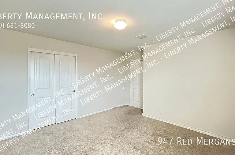 947 Red Merganser — Photo 21