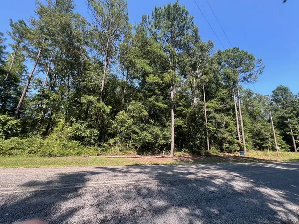 203 Pebble Cove Rd, Abbeville, AL 36310