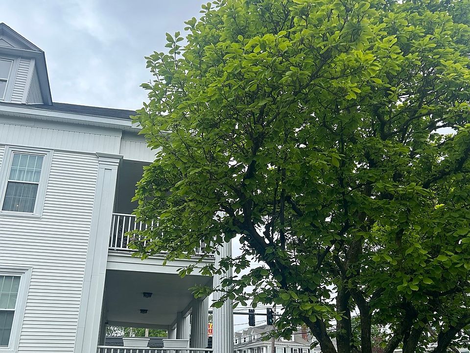 389 South Main Street, Haverhill