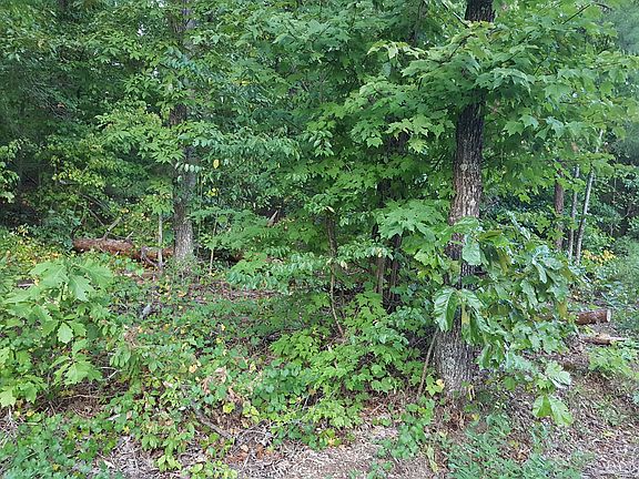 3rd image of 110 Laurel Lake Cir