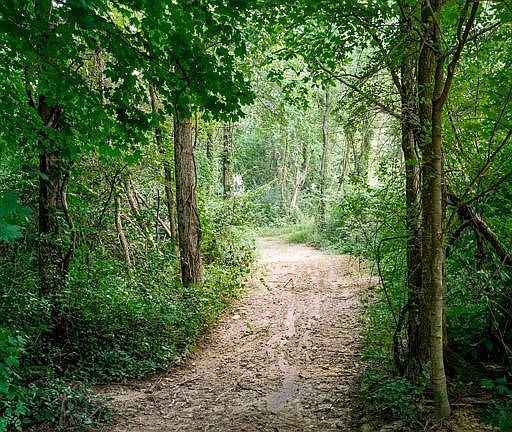 wooded trails