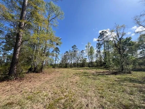 437 Salt Creek Way E, Brunswick, GA 31523