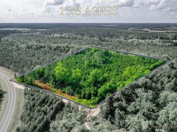 0 Walkerville Rd, Patterson, GA 31557