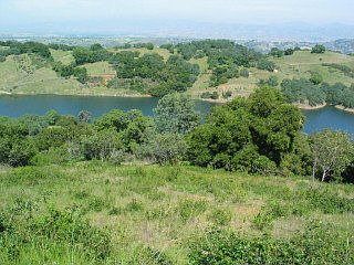 View of the Reservoir