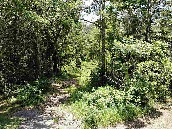 2nd image of 0 Pinehill Rd