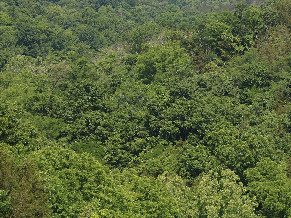 2nd image of 1200 Sugg Rd