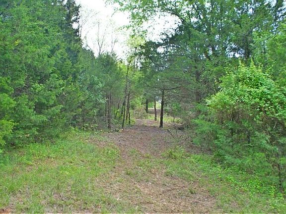Cleared area